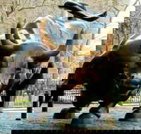 NYC Tour with Statue of Liberty Visit - USA Accommodation