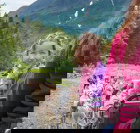 Wilderness Dog Sled Ride and Tour in Seward - Tourism Bookings