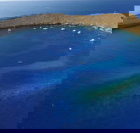 Brand New Super Raft - Private Maui 3 Hour Snorkel to Coral Gardens or Molokini - USA Accommodation