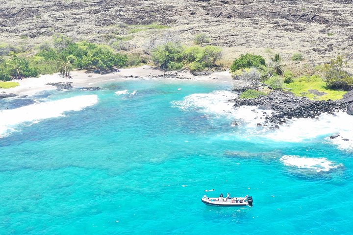 Kealakekua Bay: Captain Cook Reef Snorkel - Zodiac Navy SEAL Boat, 14 Guest Max! - thumb 3