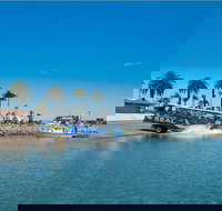 San Diego Seal Tour - Tourism Bookings