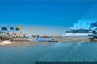 San Diego Ca Tourism Bookings