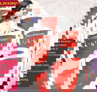 Big Bus Chicago Hop-On Hop-Off Tour - Students Accommodation