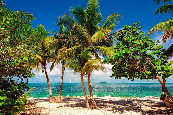 Key West Sail And Snorkel Day Trip From Fort Lauderdale - thumb 0