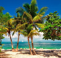 Key West Sail and Snorkel Day Trip from Fort Lauderdale - China Accommodation
