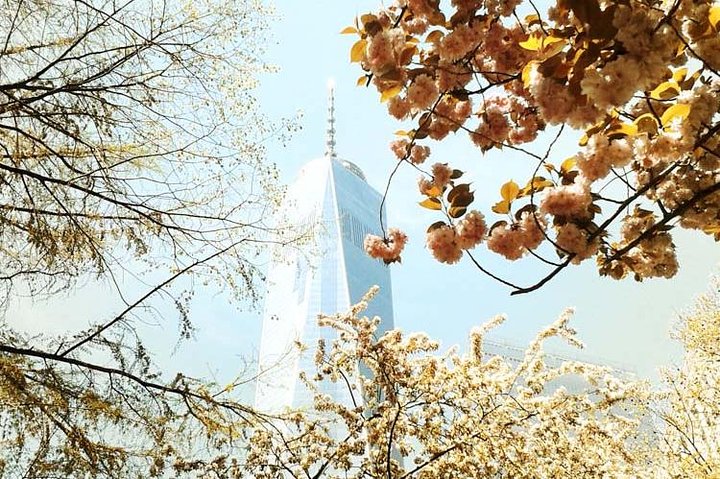 All-Access 9/11: Ground Zero Tour, Memorial And Museum, One World Observatory - thumb 2