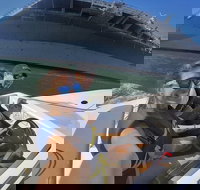 Exclusive San Diego Harbor Speed Boat Electric Scooter and USS Midway Tour - Tourism Bookings