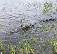 Everglades Airboat Safari - China Accommodation
