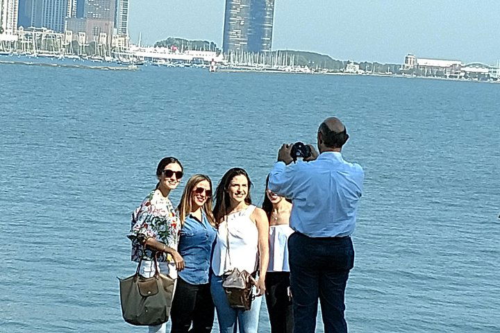 Chicago City Minibus Tour With Optional Architecture River Cruise - thumb 0