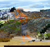 Griffith Observatory Hike Hollywood Hills Walk in Griffith Park - Students Accommodation