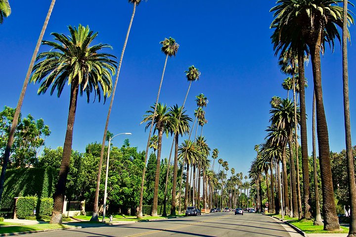 Hollywood Open Bus Tours To Celebrity Homes & Beverly Hills - thumb 1