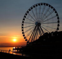 City Sightseeing Seattle Hop-On Hop-Off Bus Tour - China Accommodation