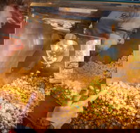 Best of Chicago: History & Culture Tour with Chocolate and Popcorn - Tourism Bookings