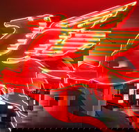 JFK Food and Culture Tour in Dallas - Students Accommodation