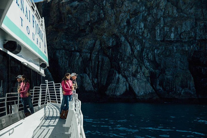 Gray Whale Watch Tour - thumb 0