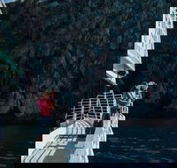 Gray Whale Watch Tour - Tourism Bookings