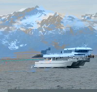 Northwestern Fjord Sightseeing Cruise from Seward - Tourism Bookings