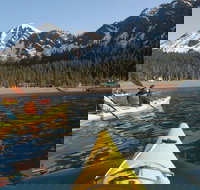 Resurrection Bay Cruise with Fox Island - Tourism Bookings