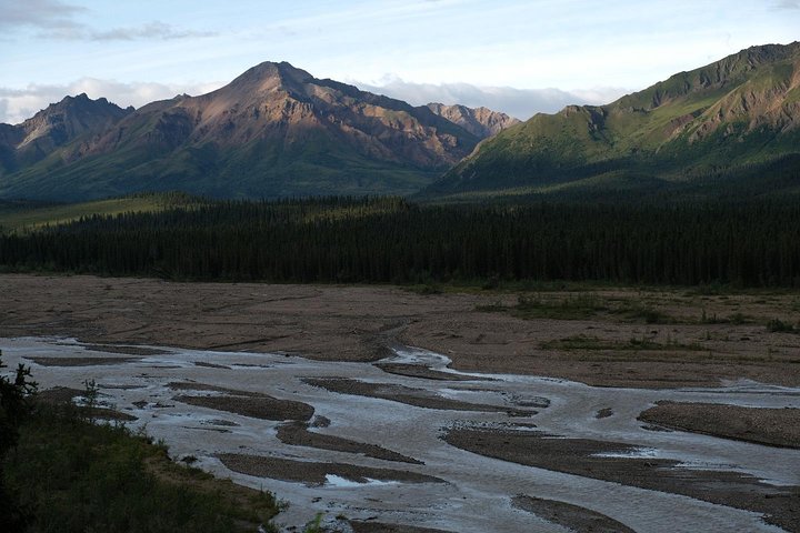 Alaska 7-Day Brown Bears And Denali Adventure From Anchorage - thumb 1