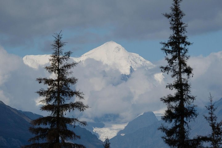 Alaska 7-Day Brown Bears And Denali Adventure From Anchorage - thumb 3