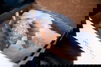 Allendale Ma Students Accommodation