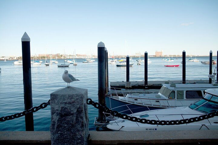 Boston Seafood Lovers Walking & History Tour - thumb 3