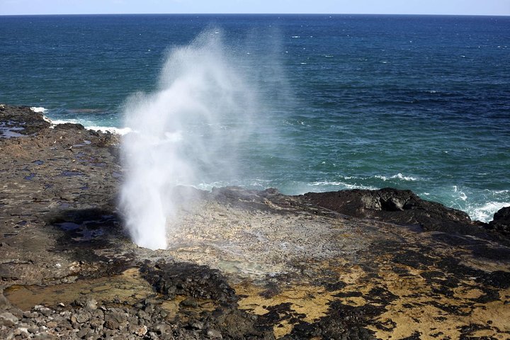 Hidden Gems Of Oahu With North Shore Turtle Snorkeling - thumb 3
