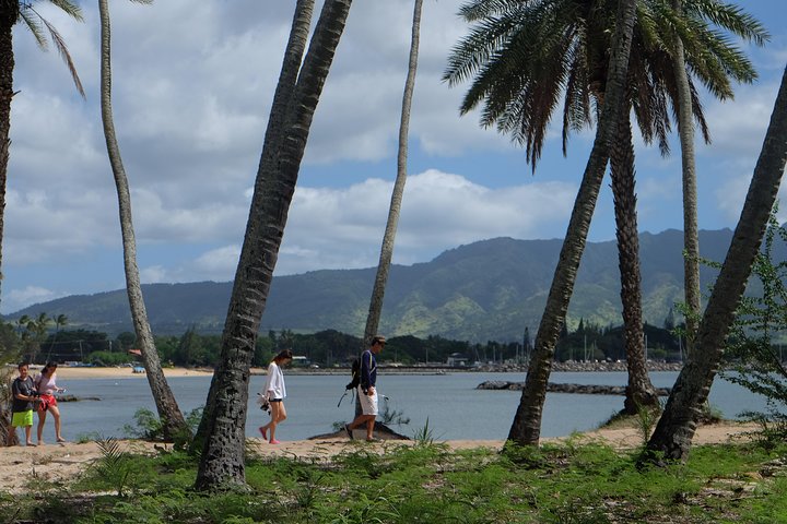 Hidden Gems Of Oahu With North Shore Turtle Snorkeling - thumb 4