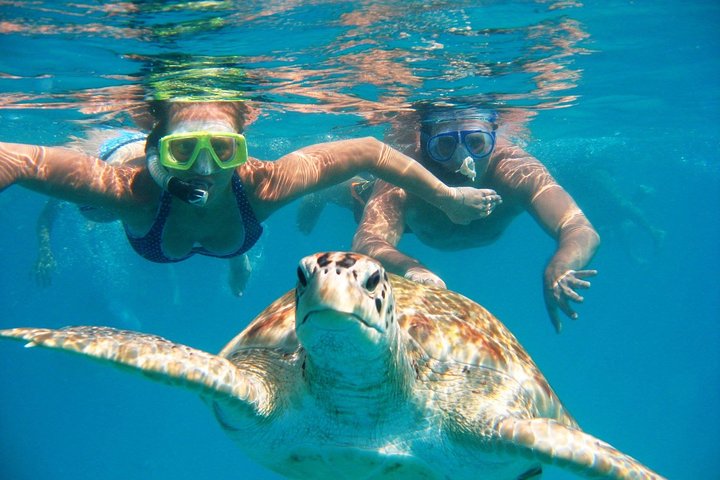 Hidden Gems Of Oahu With North Shore Turtle Snorkeling - thumb 5