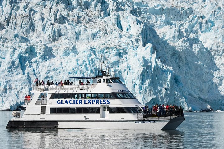 Full-Day Kenai Fjords National Park Cruise - thumb 3