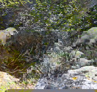 Kenai Fjords National Park Glacier  Wildlife Cruise morning departure - Tourism Bookings