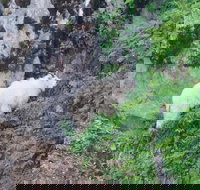 Kenai Fjords and Resurrection Bay Half-Day Wildlife Cruise - Tourism Bookings