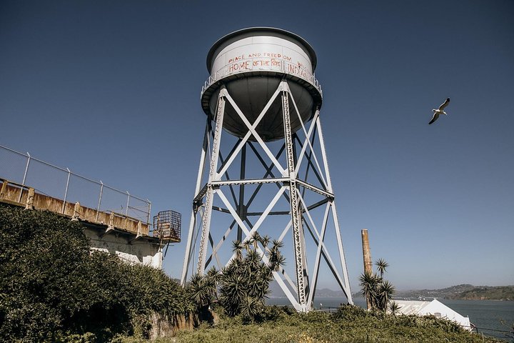 Alcatraz Island Ticket With Chinatown And North Beach Guided Walking Tour - thumb 5