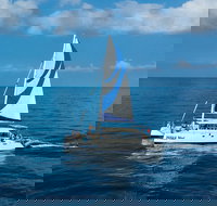 Afternoon Sail  Snorkel to the Captain Cook Monument - USA Accommodation