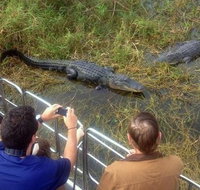 Everglades Tour in Miami - China Accommodation
