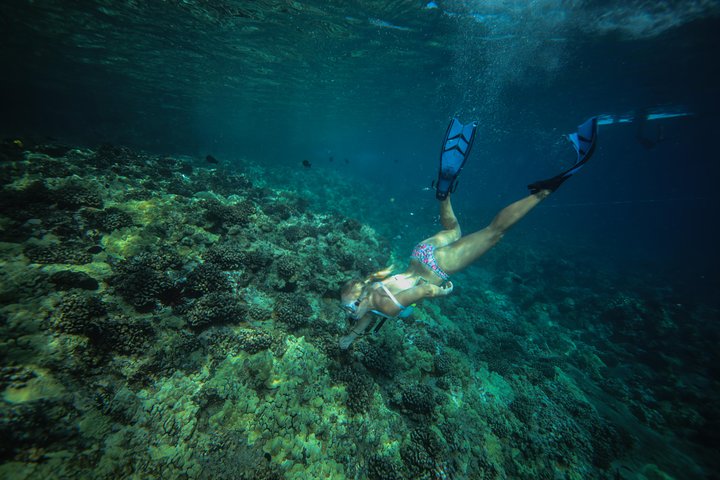 Molokini Snorkeling Adventure Aboard Calypso (MAUI / Ma'alaea Harbor) - thumb 1