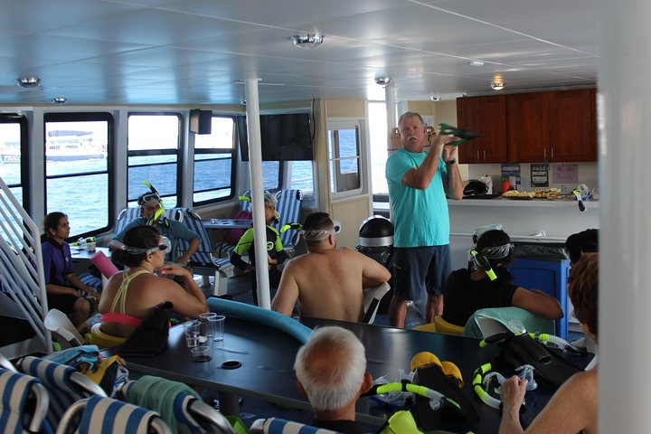 Molokini Snorkeling Adventure Aboard Calypso (MAUI / Ma'alaea Harbor) - thumb 5