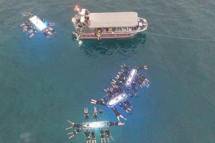 Night Manta Ray Adventure - thumb 5