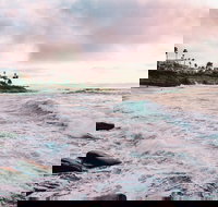 Private Half-Day Tour of San Diego with a driver-guide - Tourism Bookings