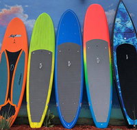 Island City ECO Paddle & Lesson: Explores Nature Preserve Tropical Wild Life - China Accommodation