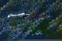 Tours And Sightseeing Sc Charleston USA Accommodation