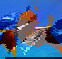 Afternoon PM Snorkel Aboard Malolo MAUI / Ma'alaea Harbor - USA Accommodation