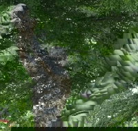 Private Dr. King's Civil Rights Tour with Southern Lunch - USA Accommodation