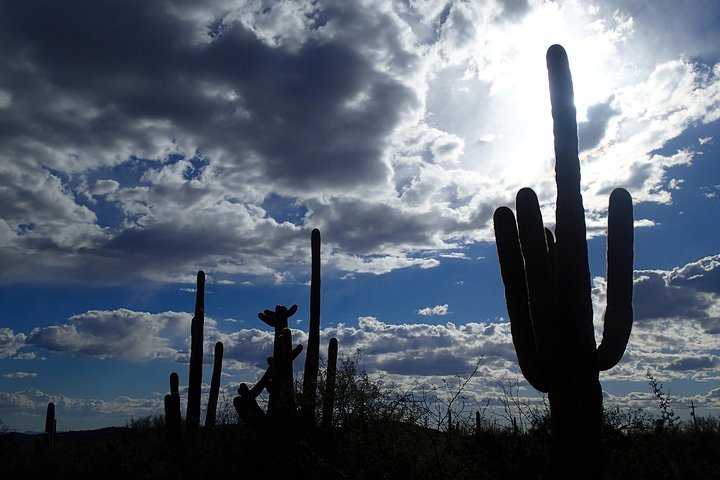 Tucson Scavenger Hunt Adventure - thumb 1