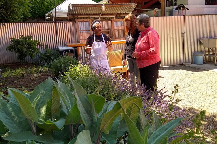 Healdsburg Wine Tasting And Food Pairing Guided Walking Tour - thumb 3