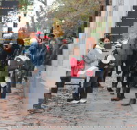 Healdsburg Wine  Food Holiday Walking Tour - USA Accommodation