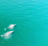 Whale Watching and Fishing Combination Excursions - China Accommodation
