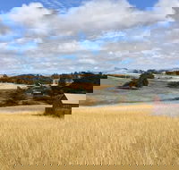 Cow Heaven A Driving Audio Tour from Point Reyes Seashore to Tomales - USA Accommodation