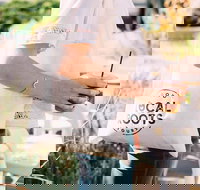 Midtown Sacramento Arts and Food Tour - USA Accommodation