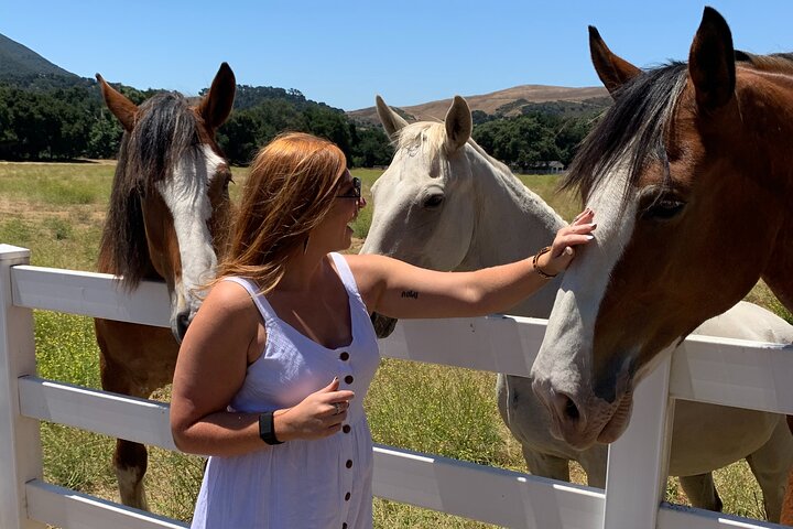 Santa Ynez Valley Wine Tour - thumb 0